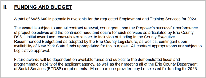 RFP example - funding and budget